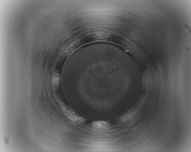 X0000102040137200807251423