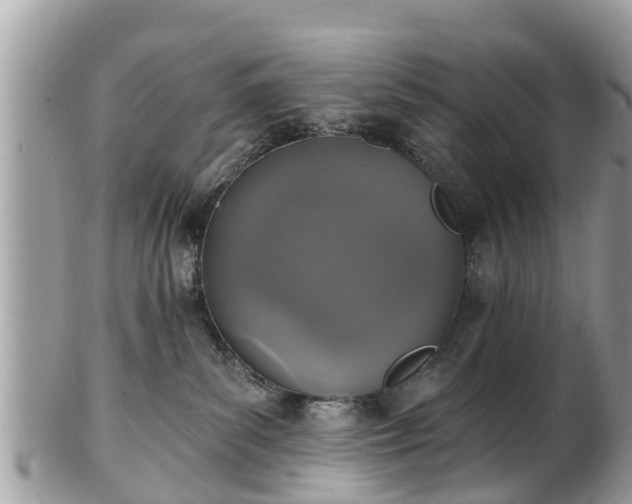 X0000102040139200807251423