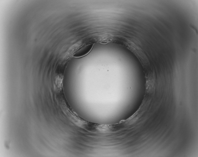 X0000102040142200807251423