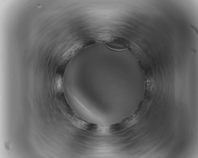 X0000102040143200807251423