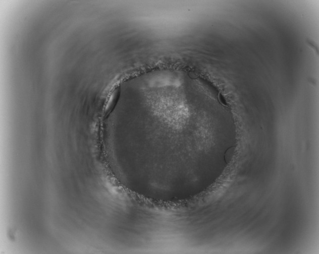 X0000102040144200807251423