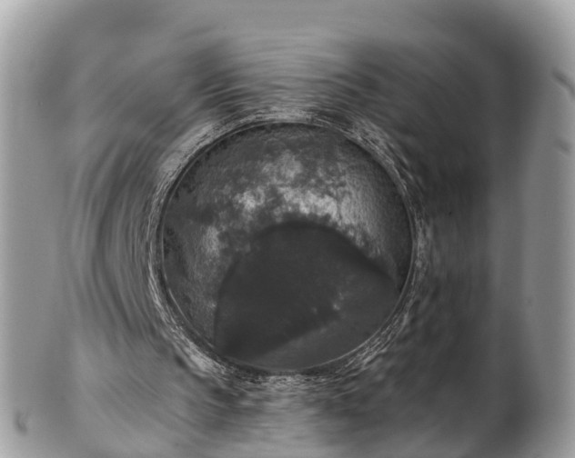 X0000102040145200807251422