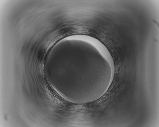 X0000102040146200807251422