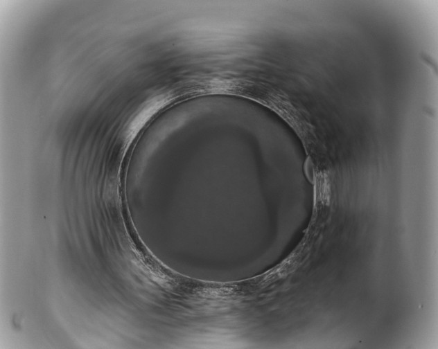 X0000102040147200807251422