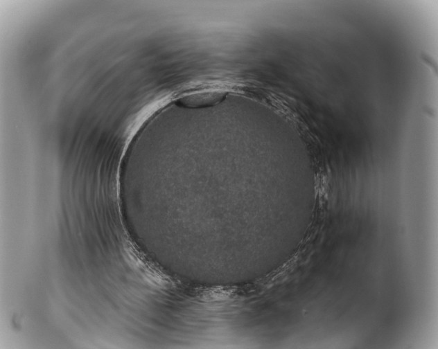 X0000102040148200807251422