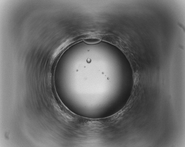 X0000102040150200807251422