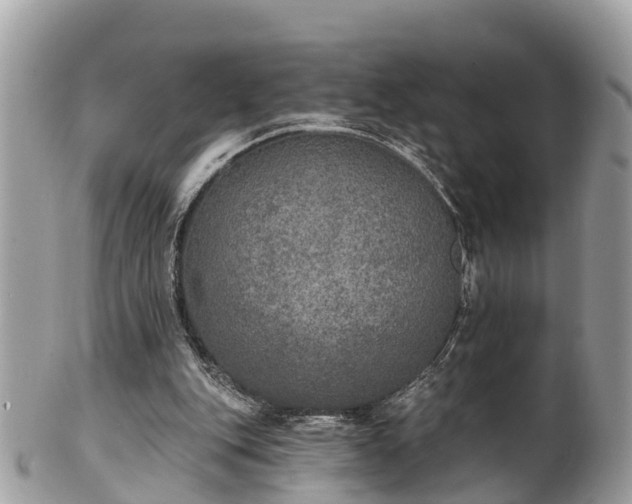 X0000102040151200807251422