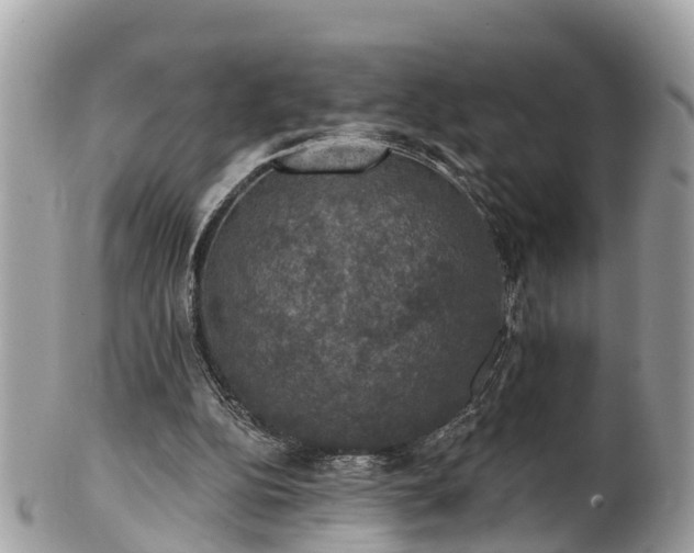 X0000102040152200807251422