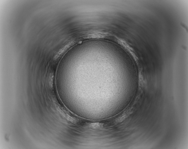 X0000102040153200807251422