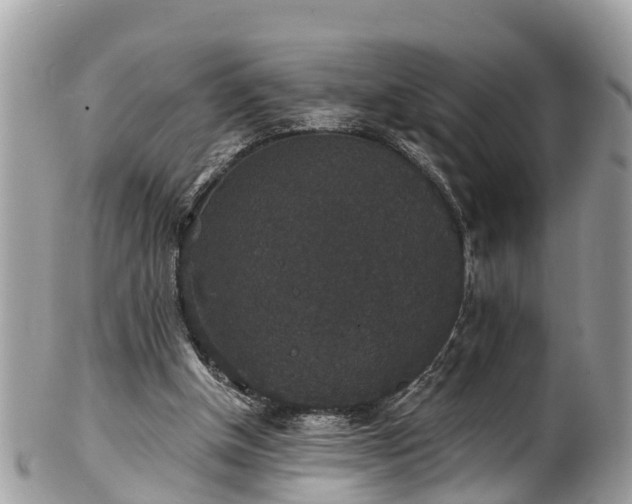 X0000102040154200807251422