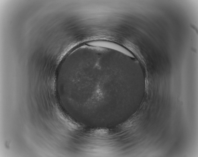 X0000102040156200807251422