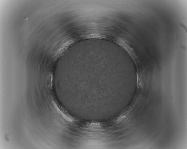 X0000102040157200807251422