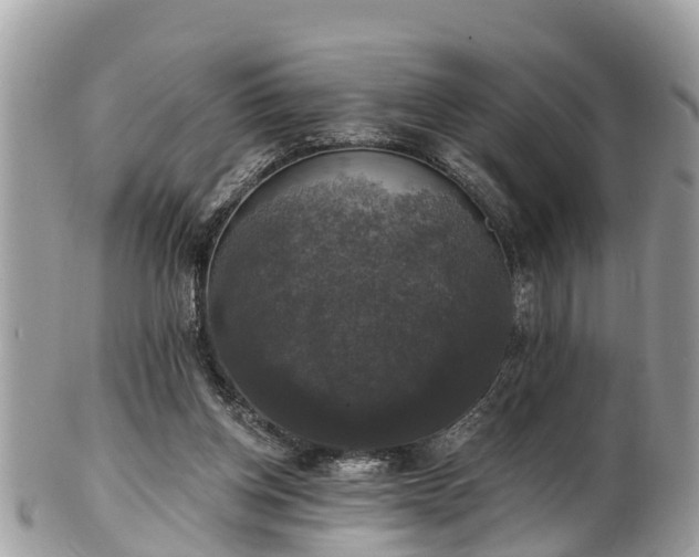 X0000102040158200807251422