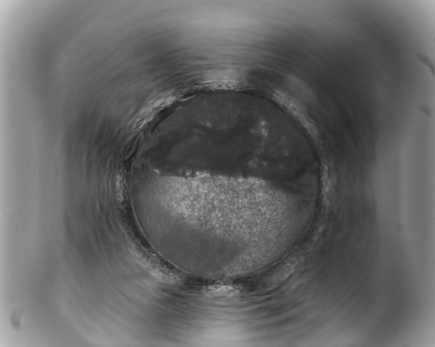 X0000102040161200807251422