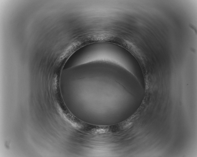 X0000102040163200807251422