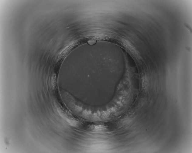 X0000102040165200807251422