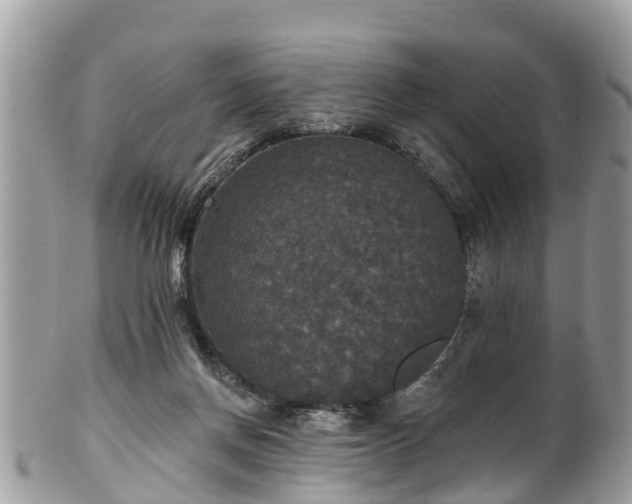 X0000102040166200807251422