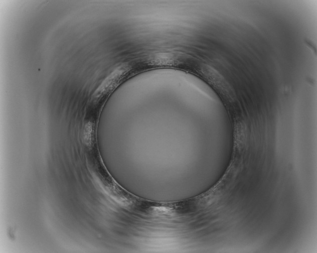 X0000102040167200807251422