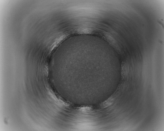 X0000102040168200807251422