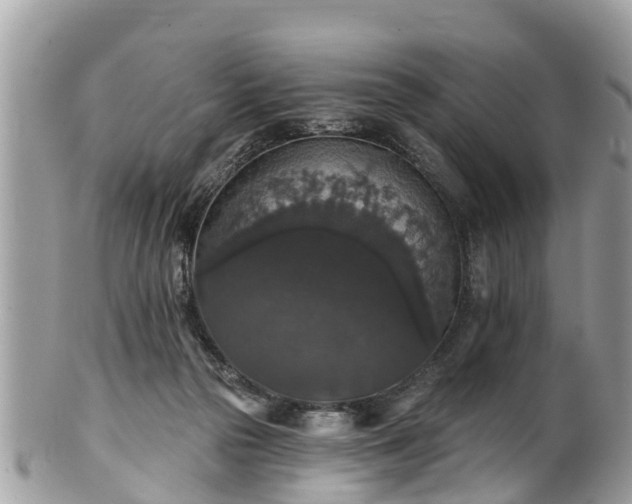 X0000102040169200807251422