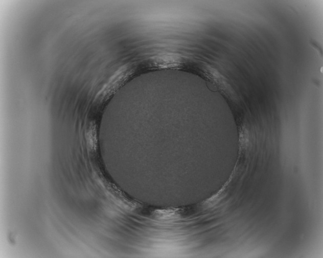 X0000102040170200807251422