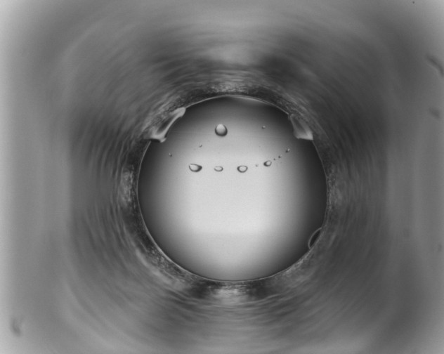 X0000102040171200807251422