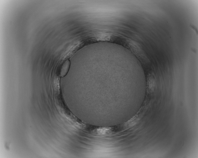 X0000102040172200807251422