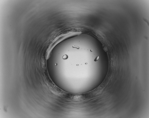 X0000102040173200807251422