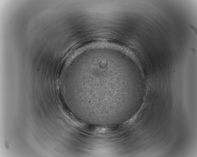 X0000102040174200807251422