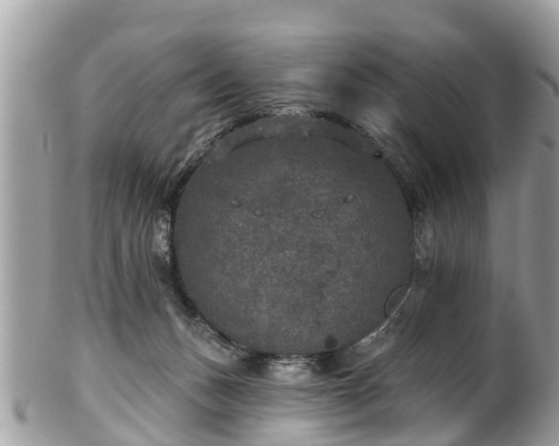 X0000102040175200807251422