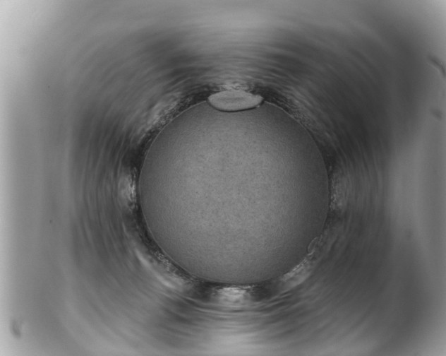 X0000102040176200807251422