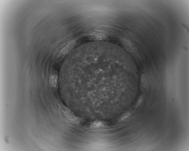 X0000102040177200807251422