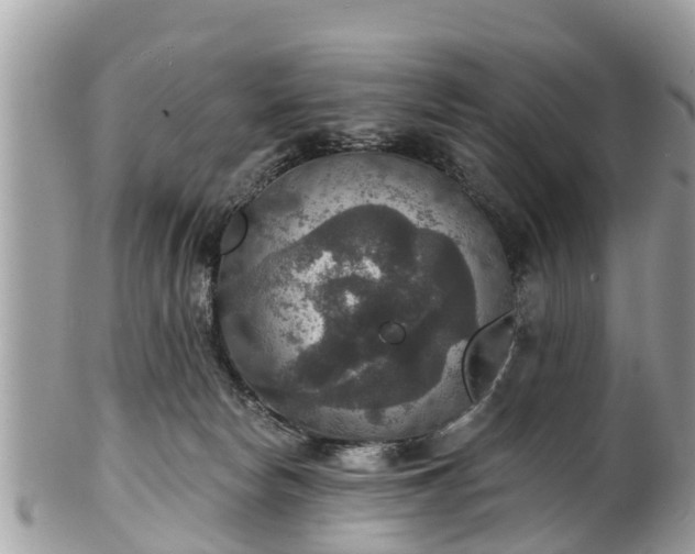 X0000102040178200807251422