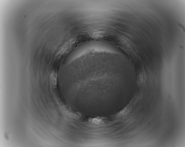 X0000102040180200807251422