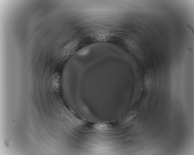 X0000102040181200807251422