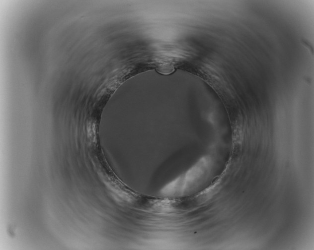 X0000102040182200807251422