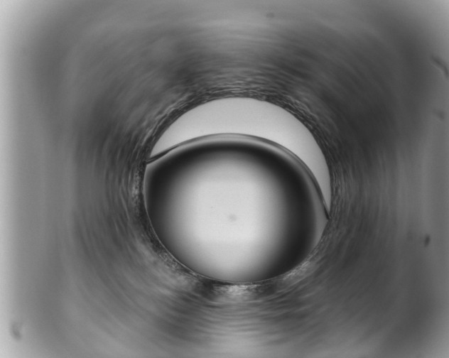 X0000102040184200807251422