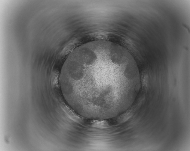 X0000102040185200807251423