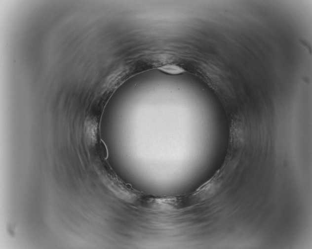 X0000102040188200807251423