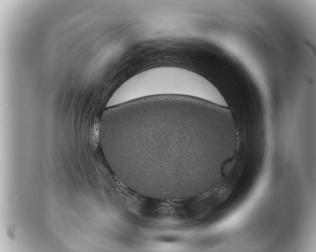 X0000102040190200807251423