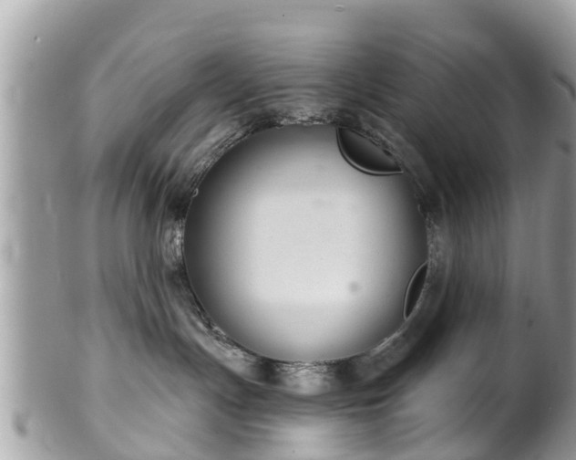 X0000102040191200807251423