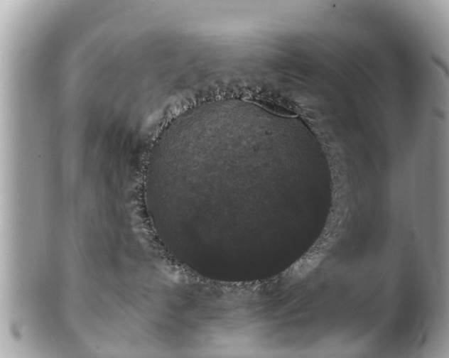 X0000102040192200807251423