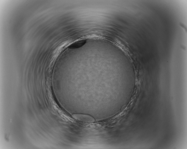 X0000102040193200807251422