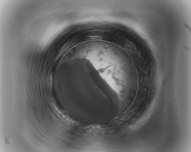 X0000102040194200807251422