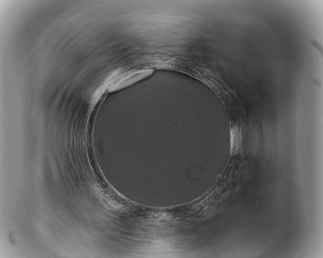 X0000102040195200807251422