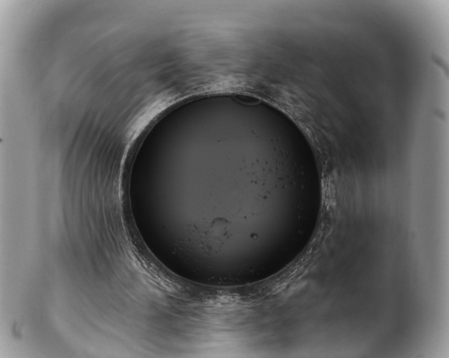 X0000102040196200807251422