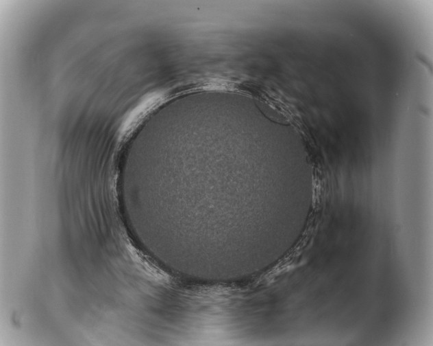 X0000102040197200807251422