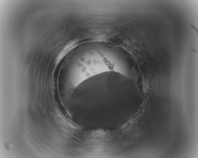 X0000102040198200807251422