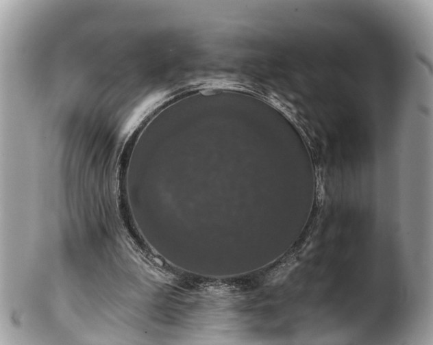 X0000102040199200807251422