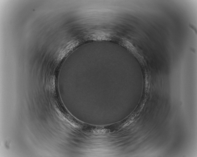 X0000102040202200807251422